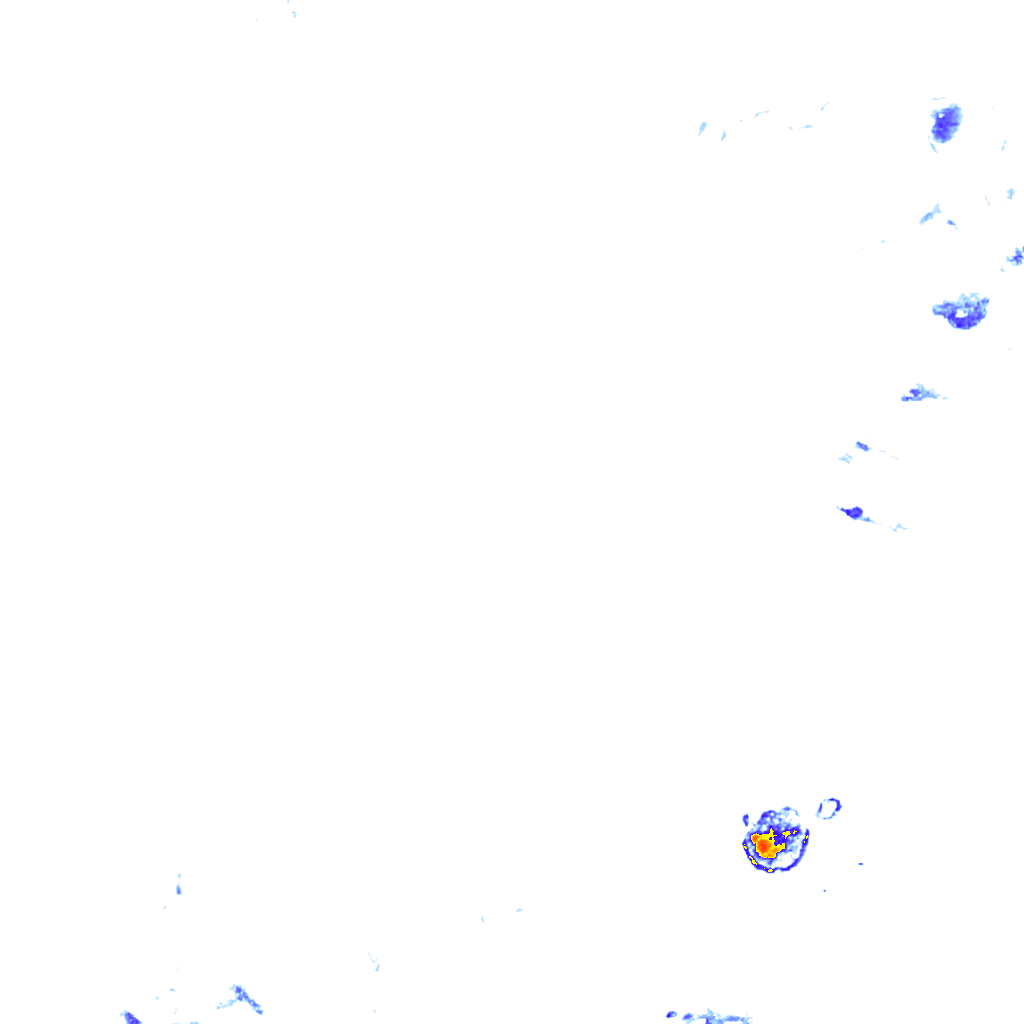 rainLayer