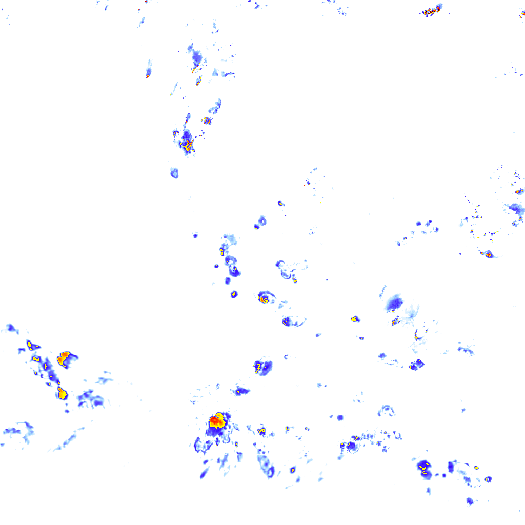 rainLayer