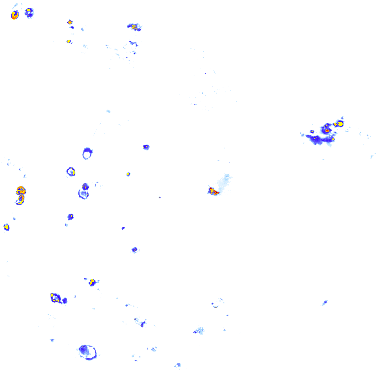rainLayer