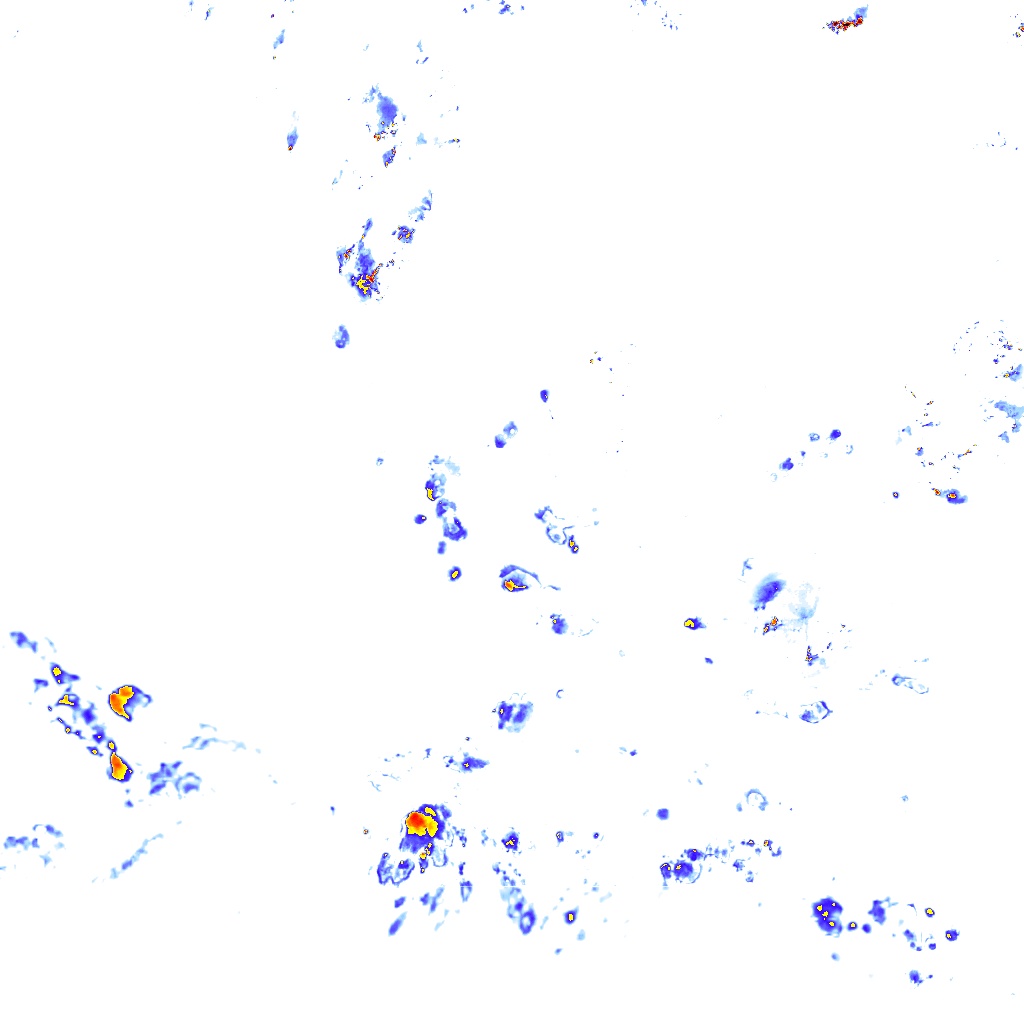 rainLayer