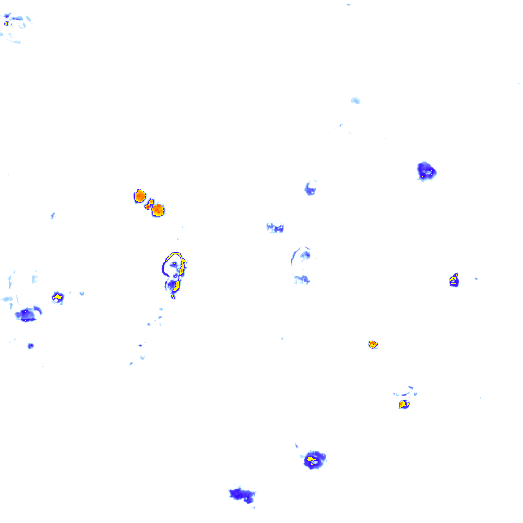 rainLayer
