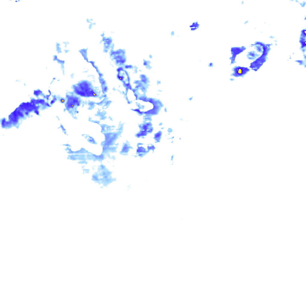 rainLayer