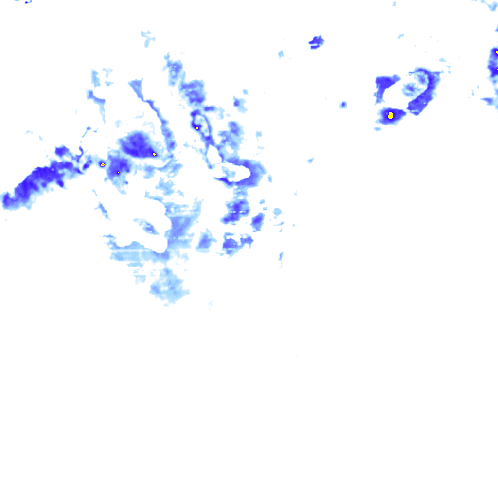rainLayer
