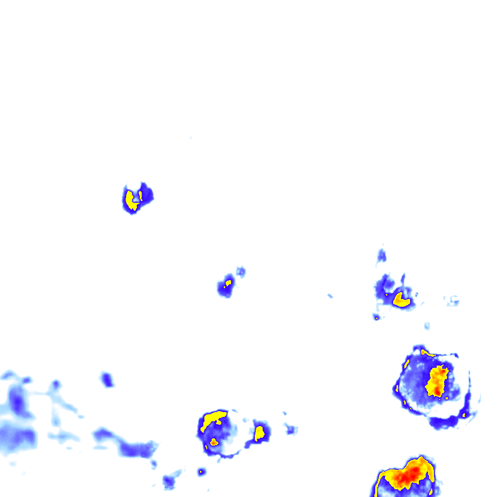 Image Layer