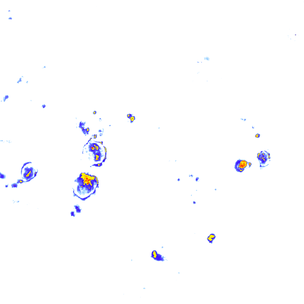 Image Layer