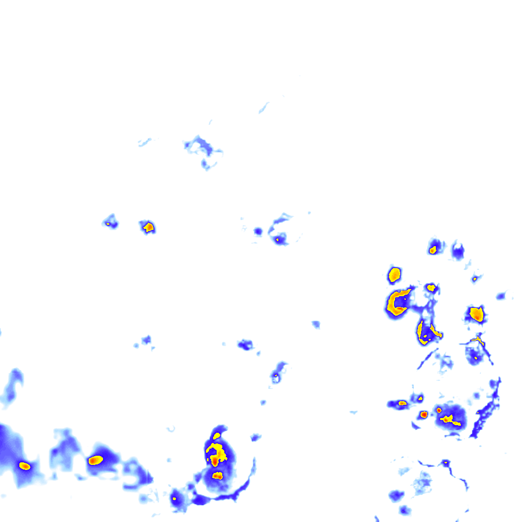 rainLayer