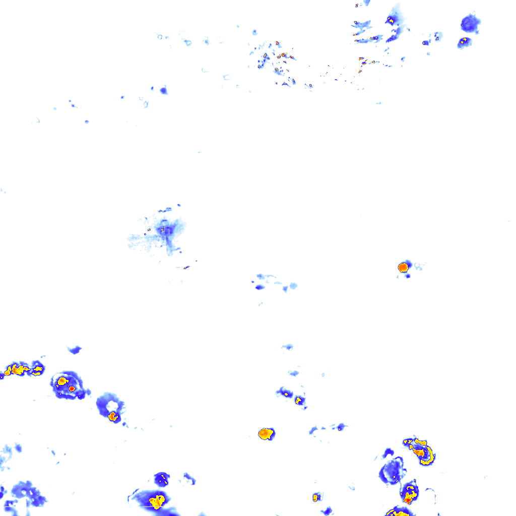 rainLayer