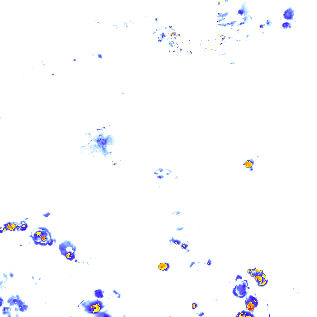 rainLayer