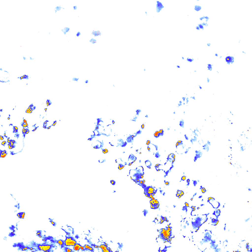 rainLayer