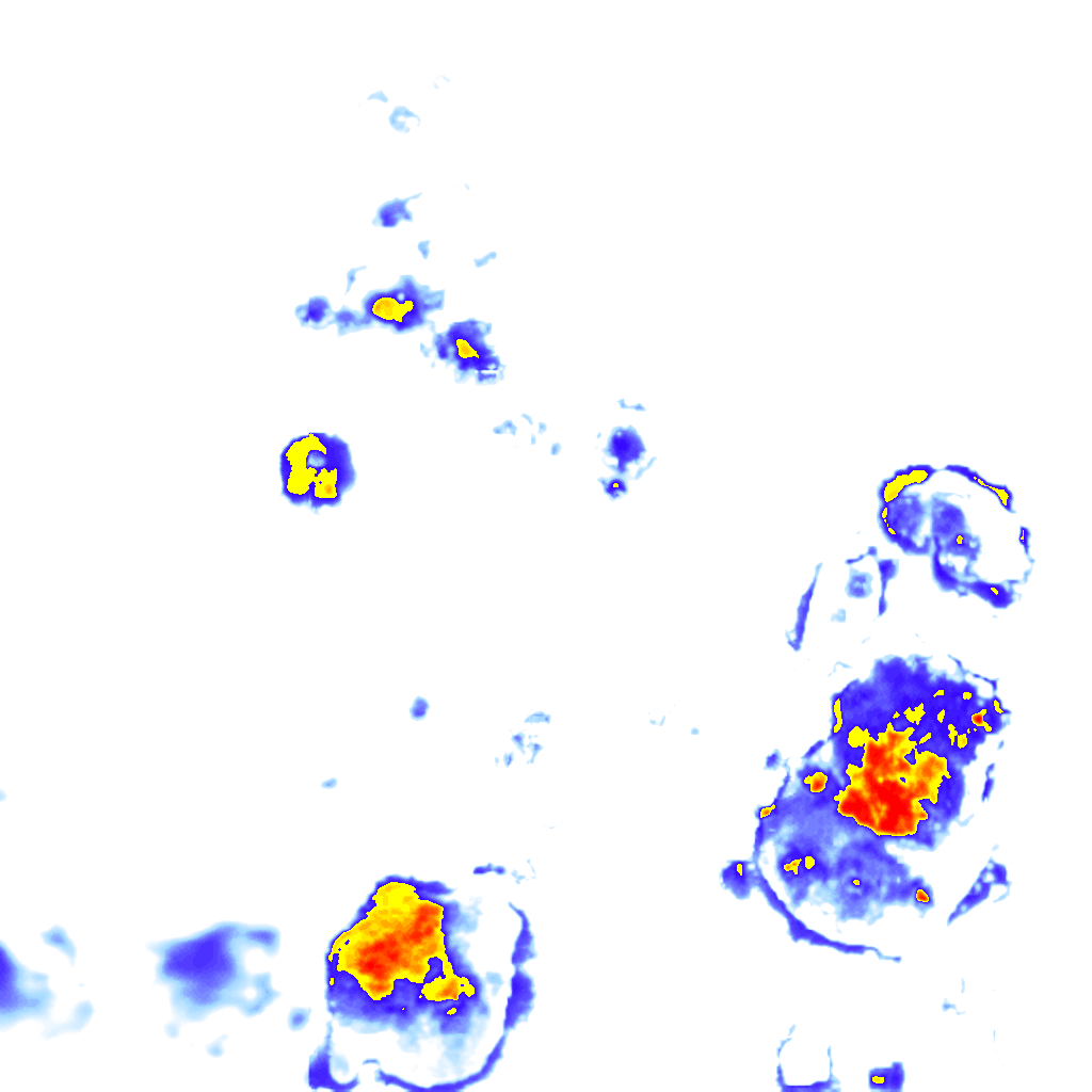 Image Layer