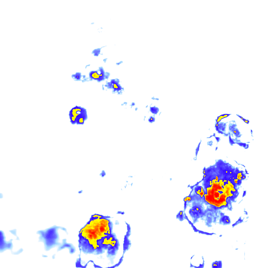 Image Layer