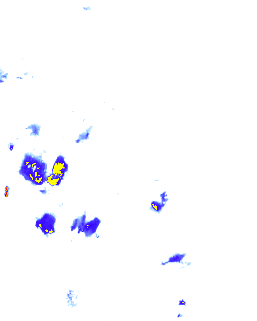 rainLayer