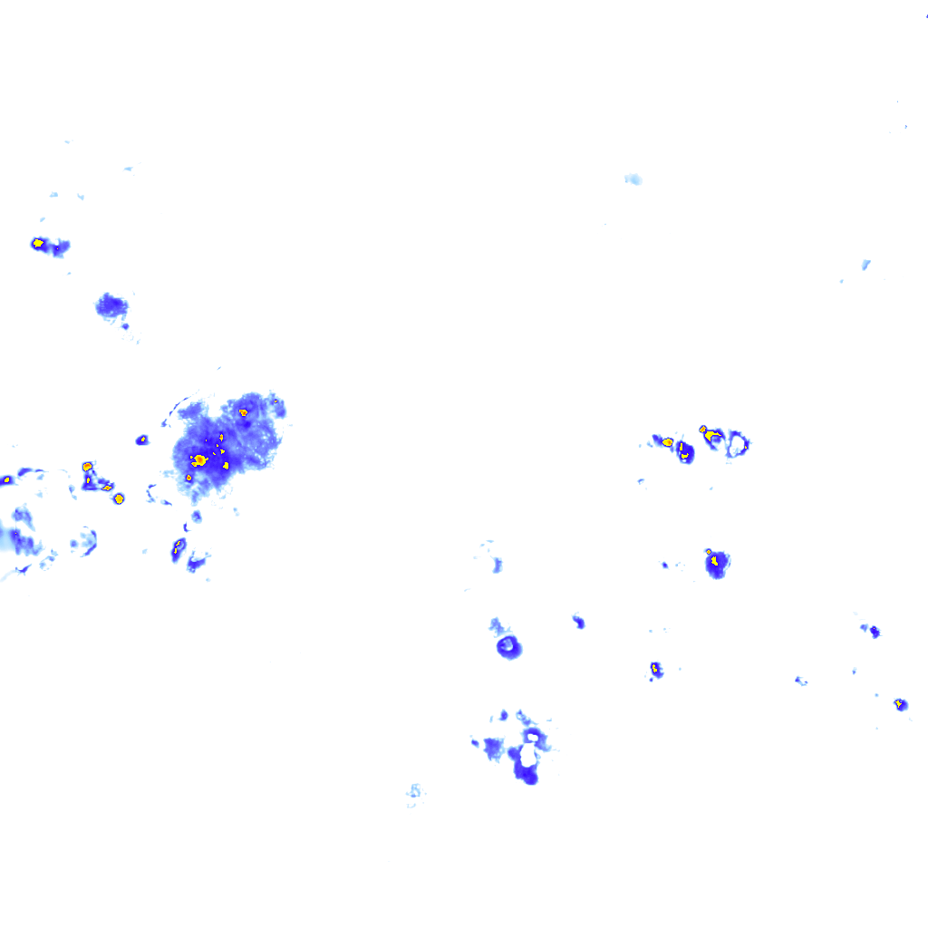 rainLayer
