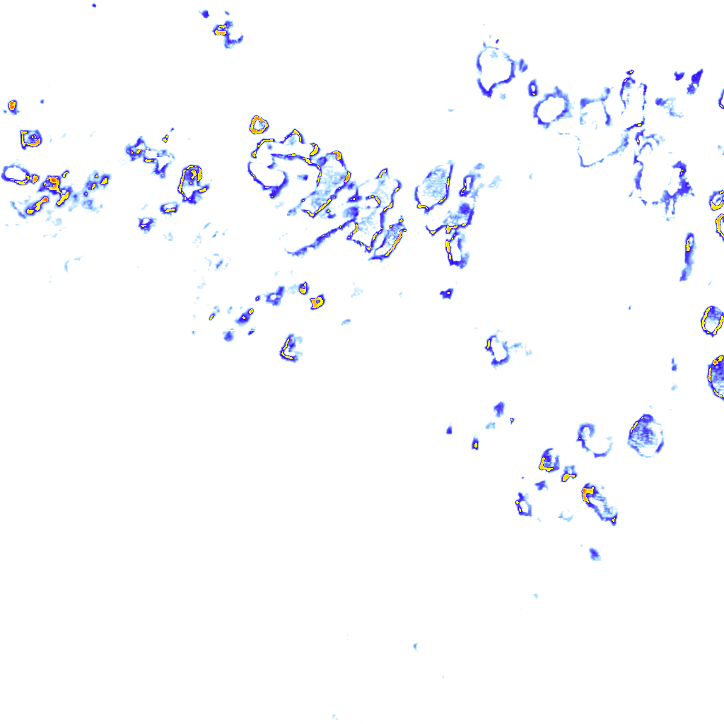 rainLayer