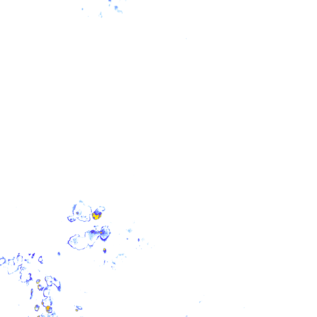 rainLayer