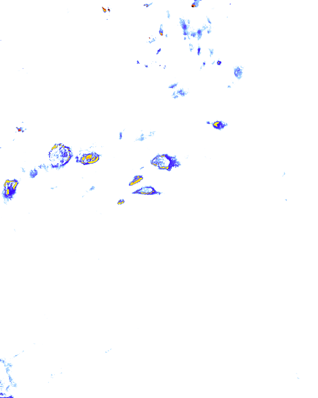 rainLayer