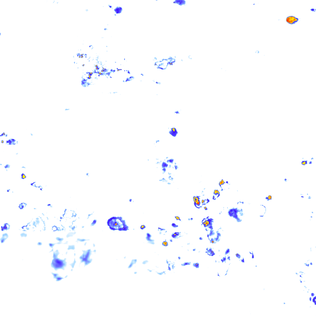 rainLayer