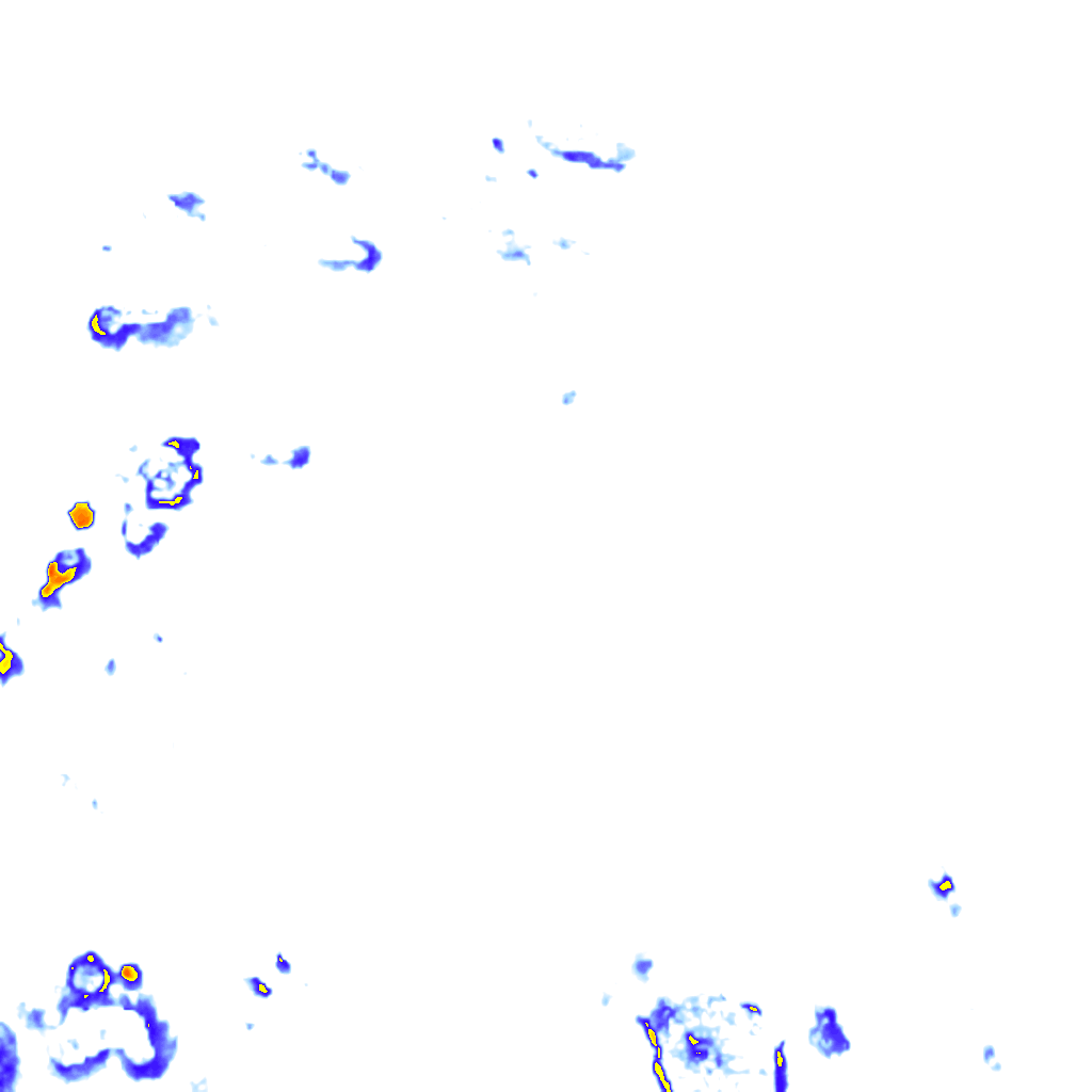rainLayer