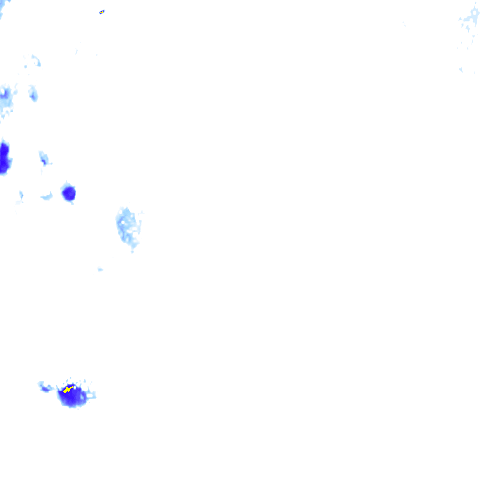 rainLayer