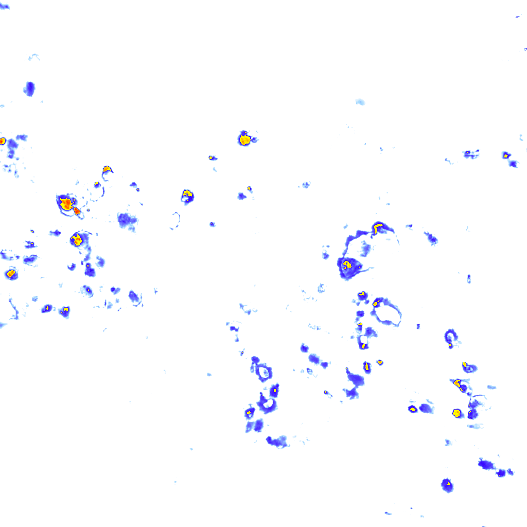 rainLayer