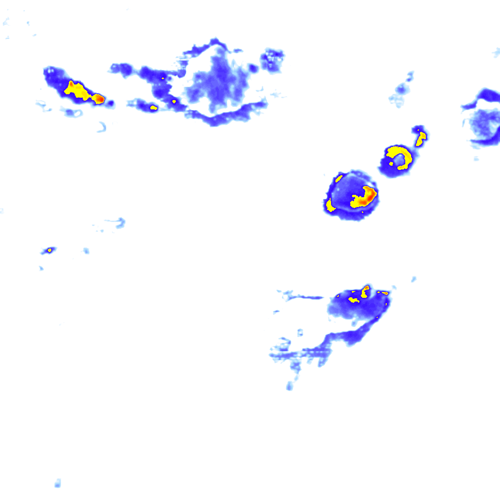 Image Layer