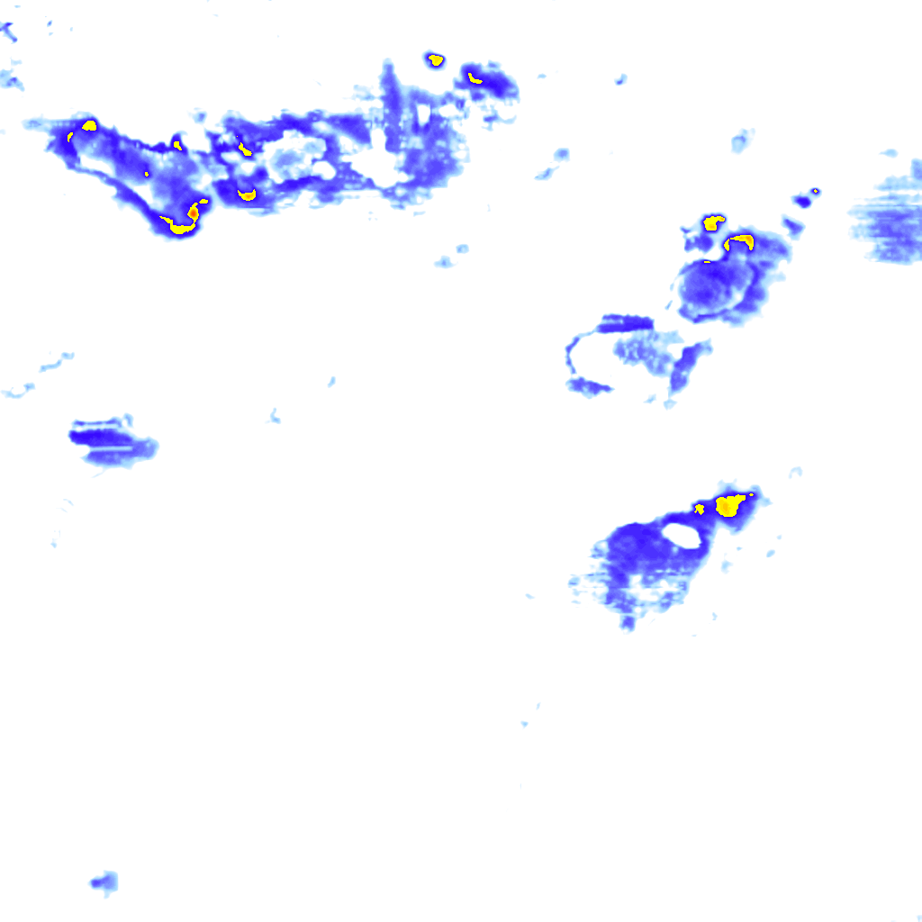 Image Layer