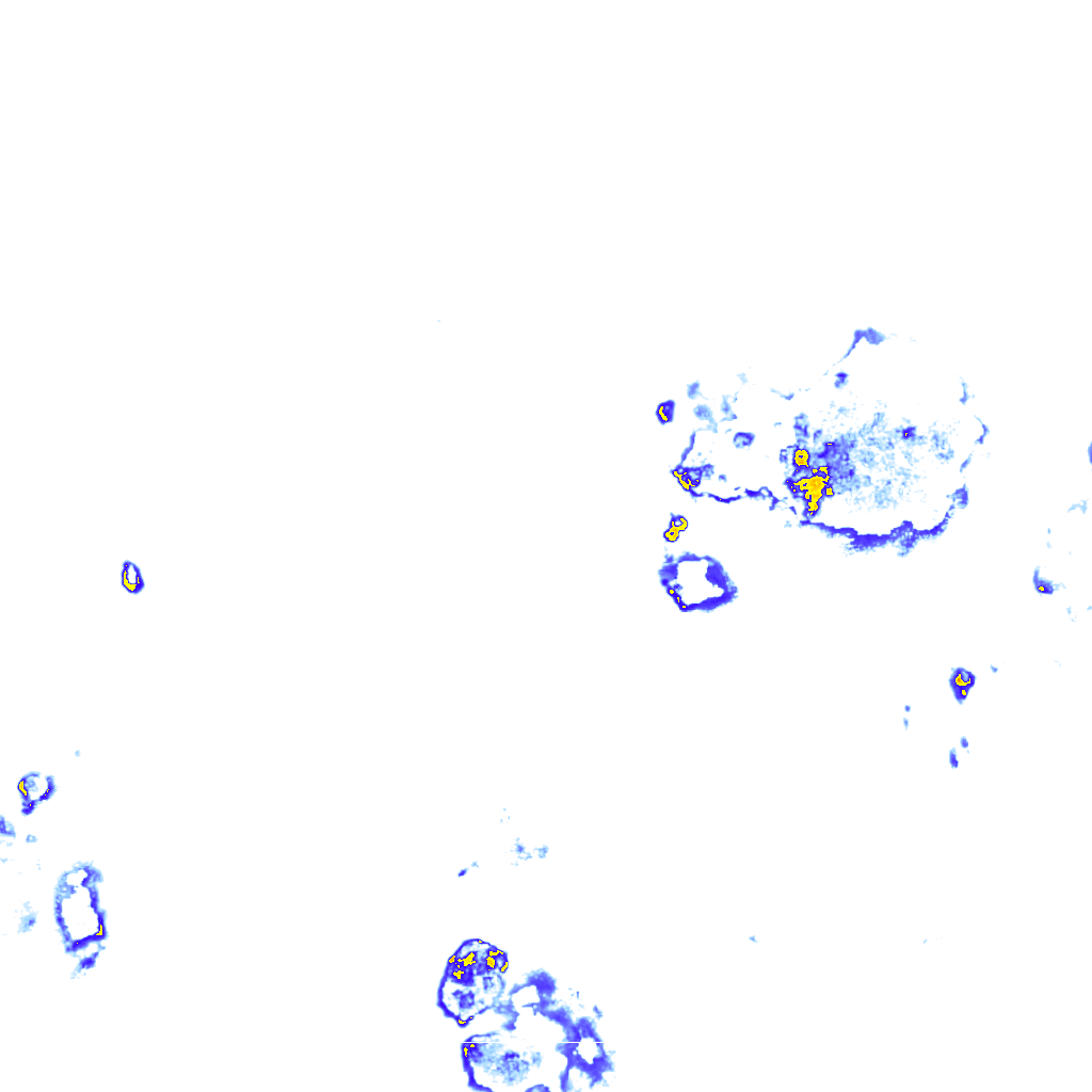 Image Layer