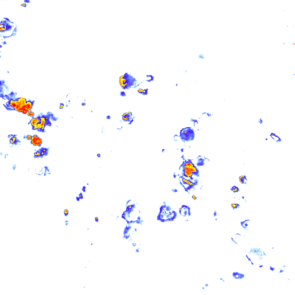 rainLayer