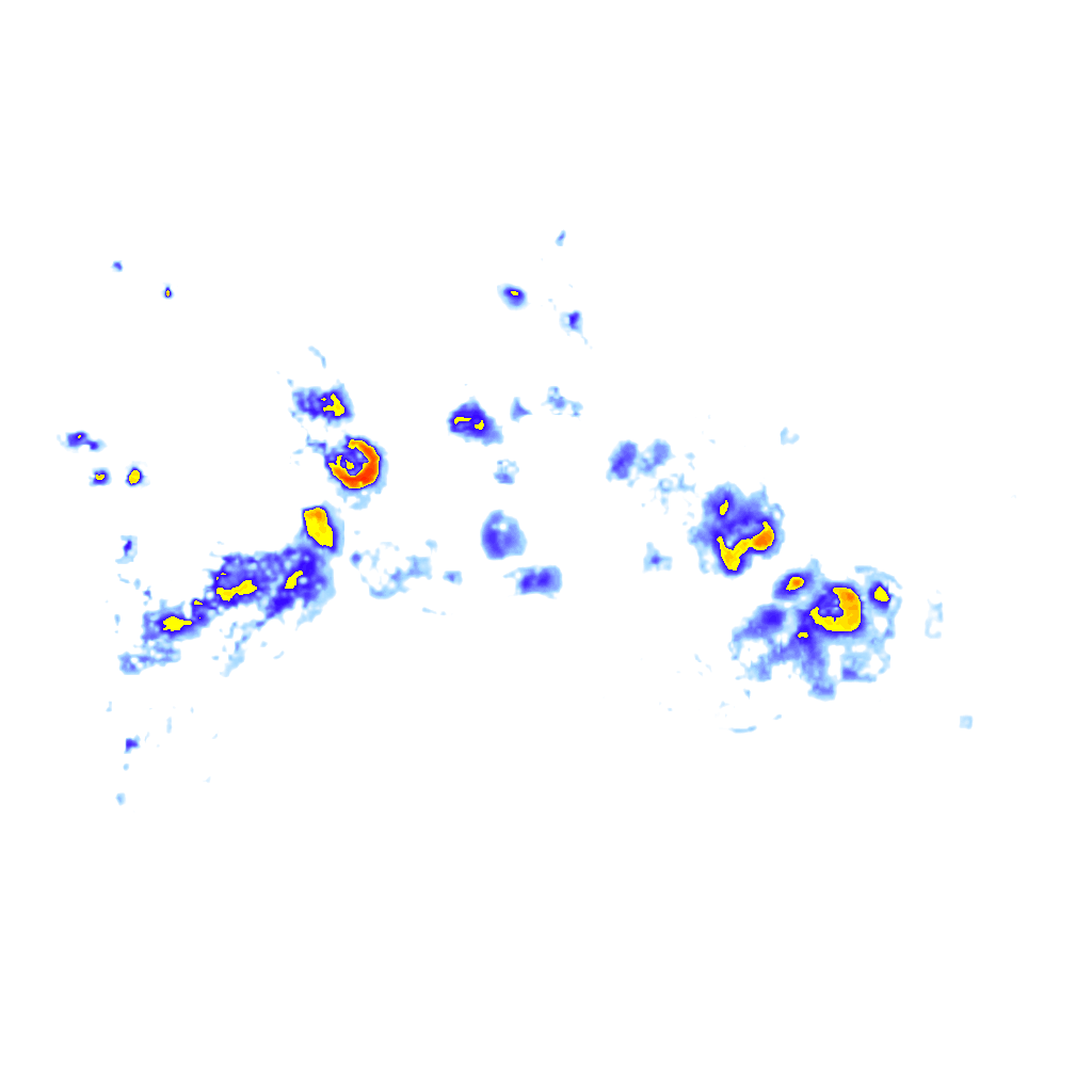 Image Layer
