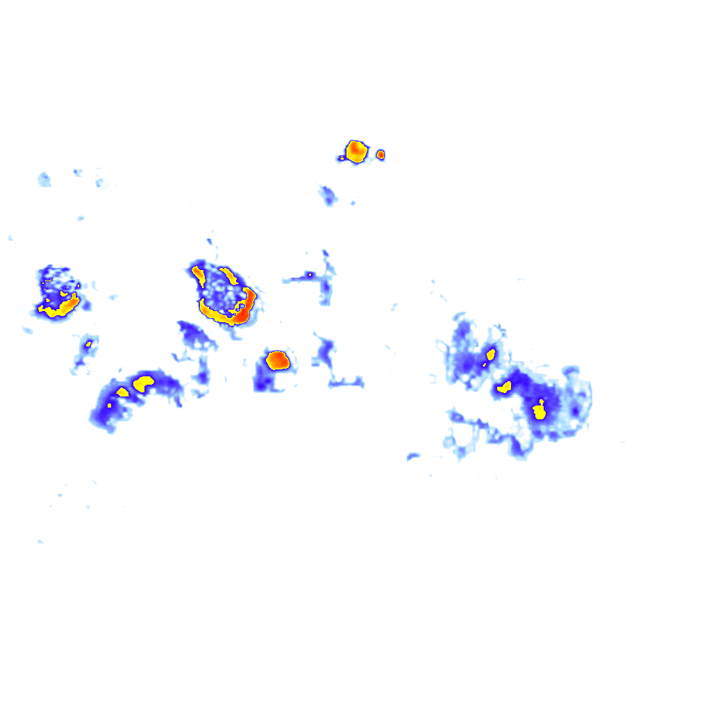 Image Layer