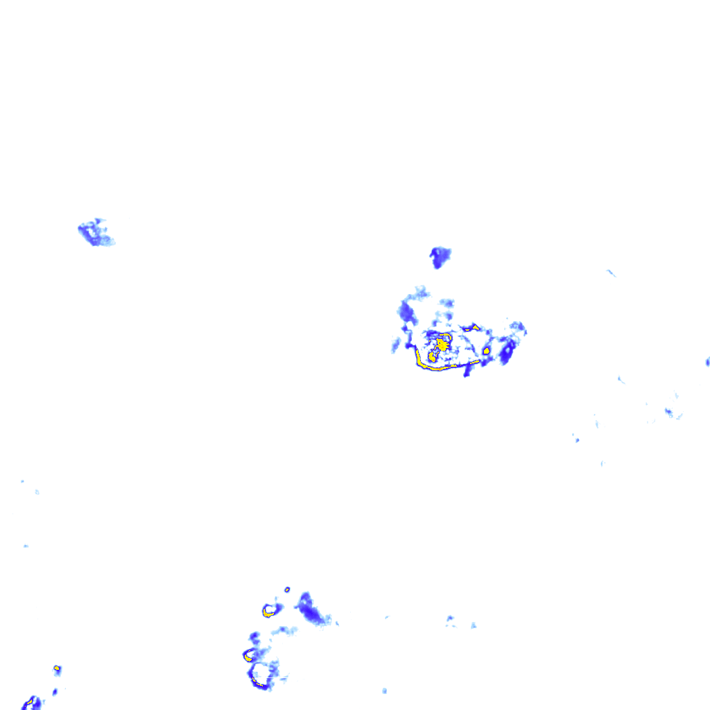 rainLayer