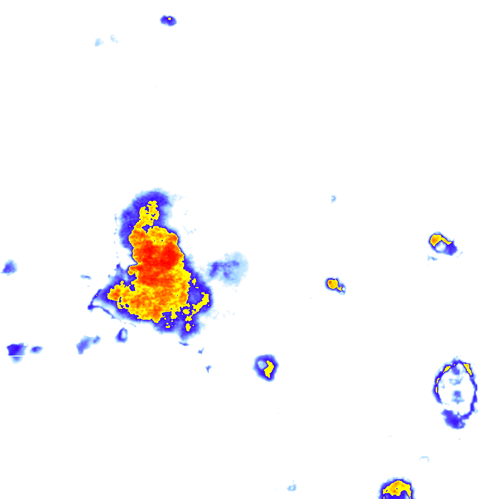 Image Layer