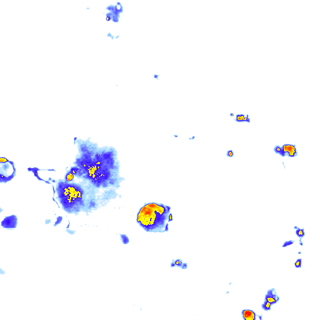 Image Layer