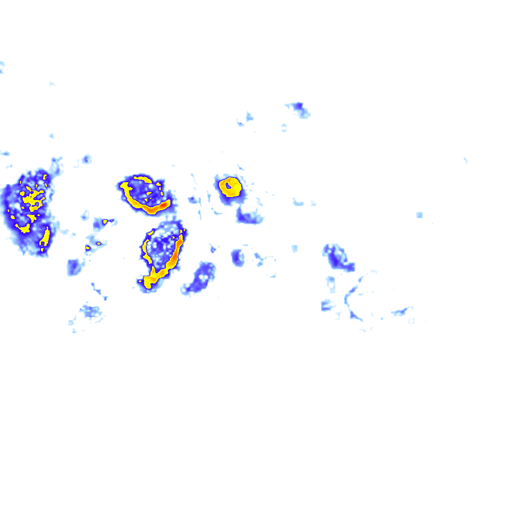 Image Layer