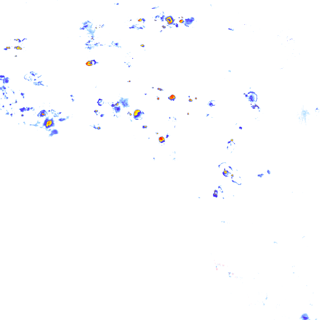 rainLayer