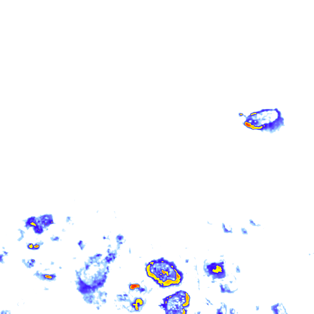 rainLayer