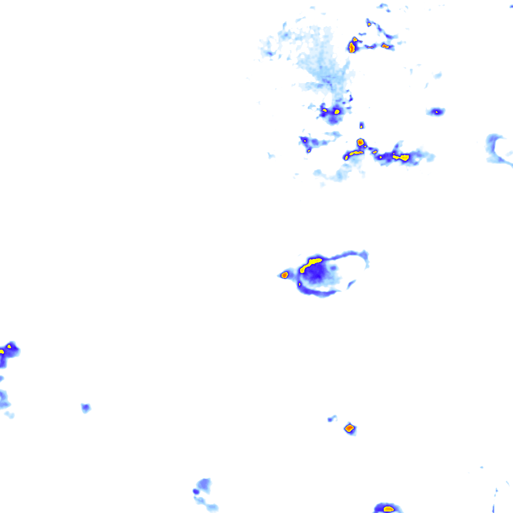 Image Layer