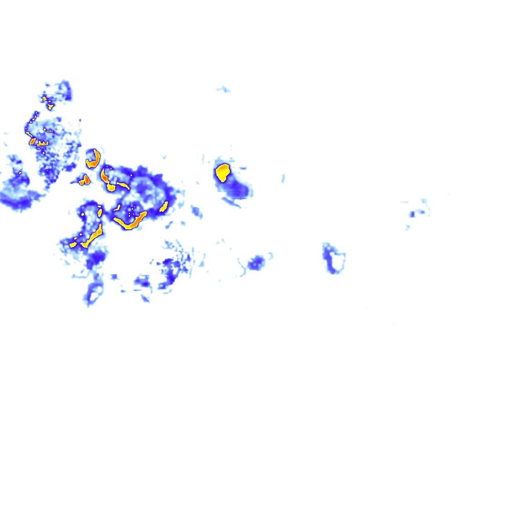 rainLayer