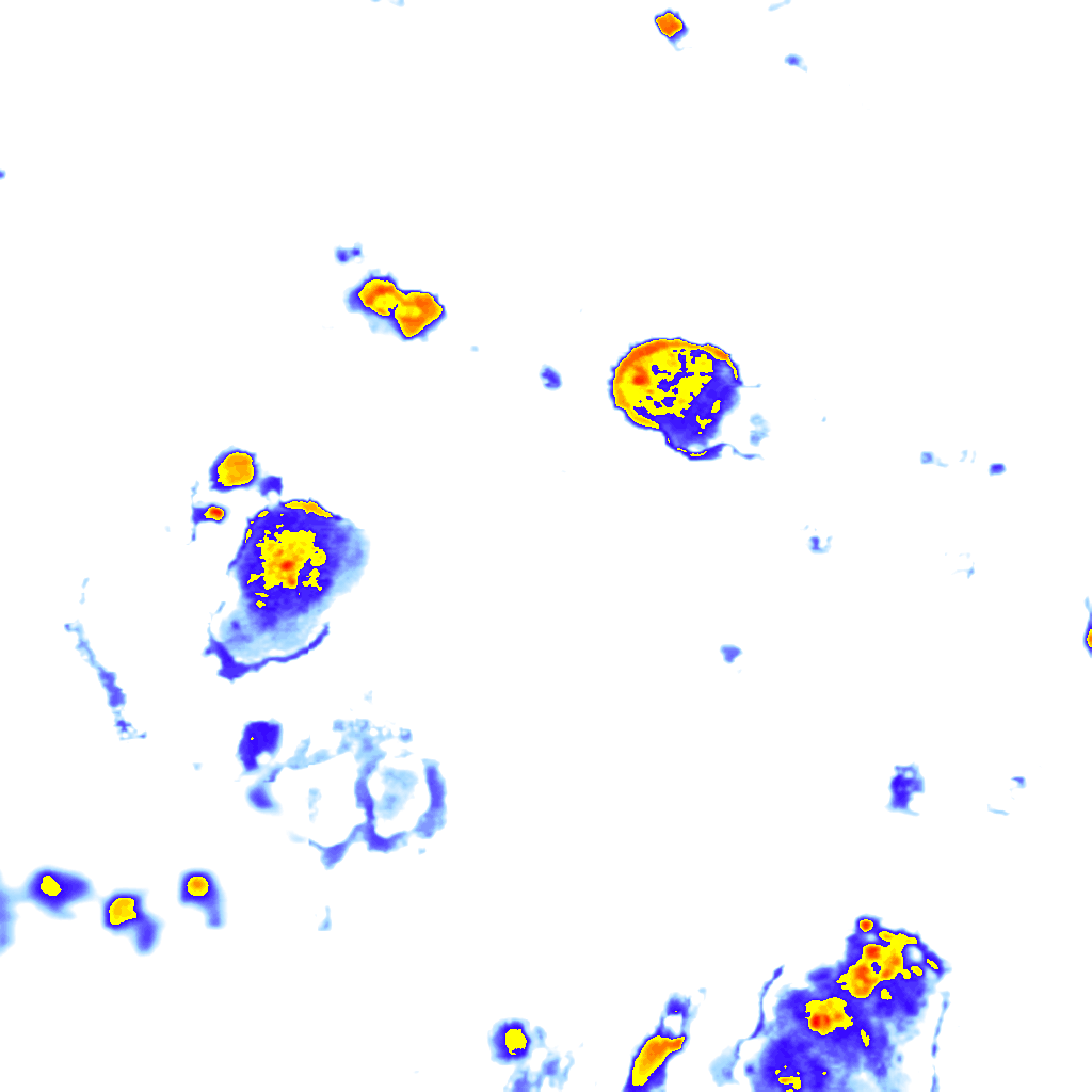 rainLayer