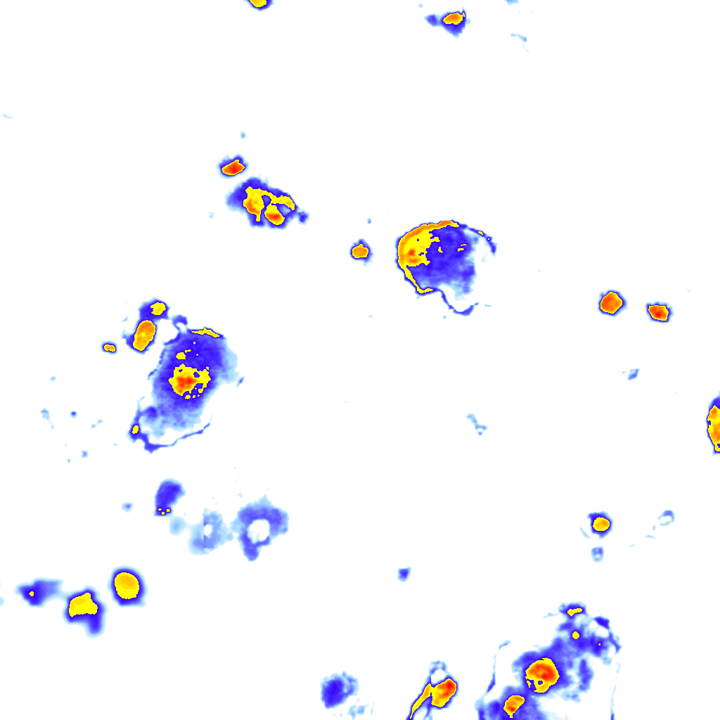 Image Layer