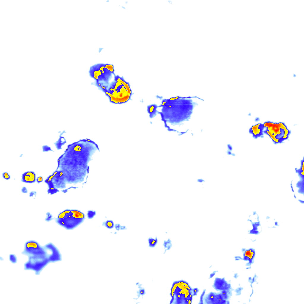 Image Layer