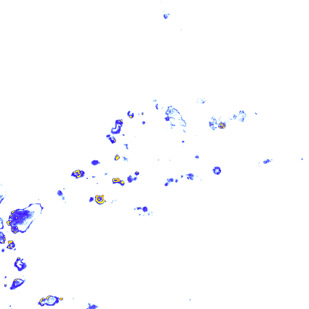 Image Layer