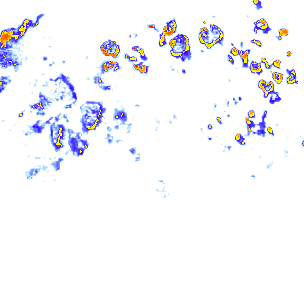 Image Layer