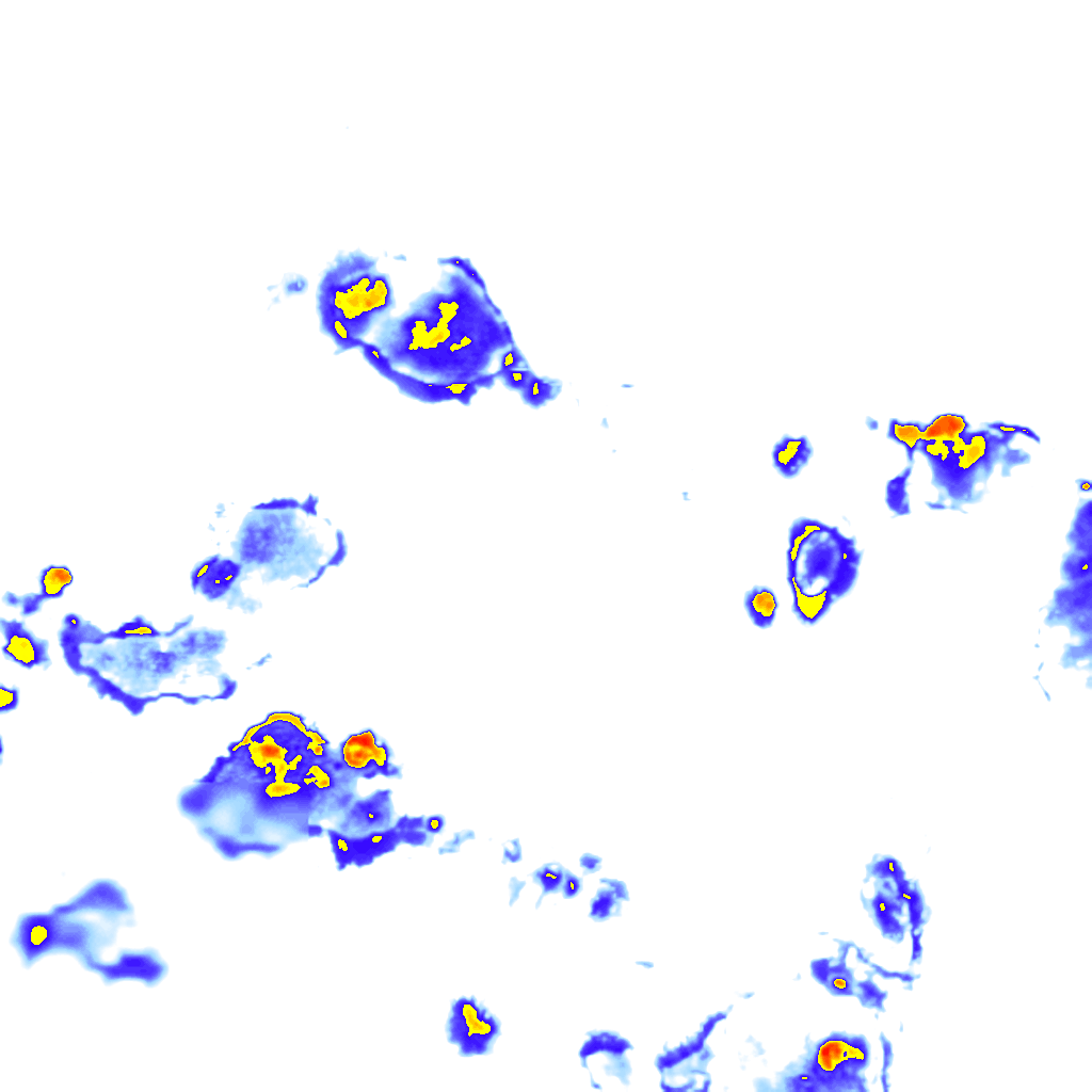 rainLayer