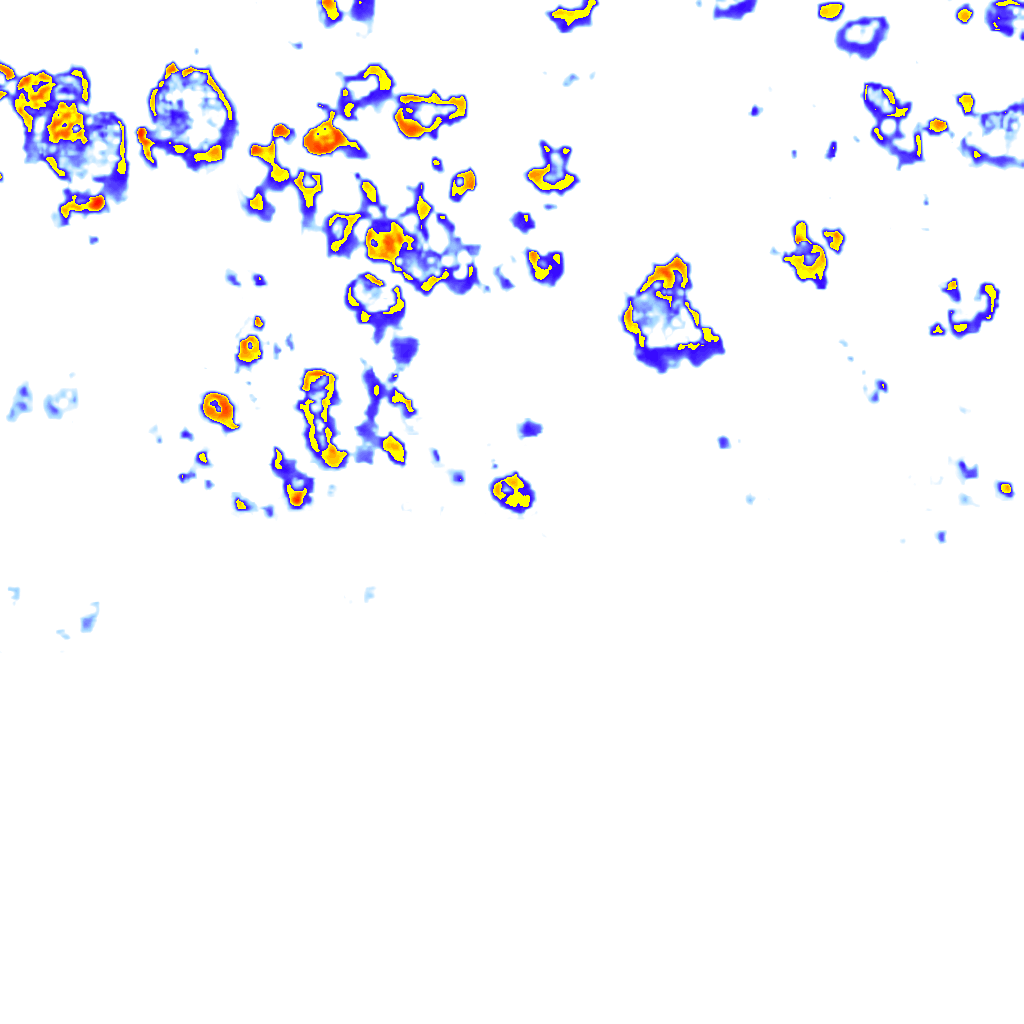 Image Layer