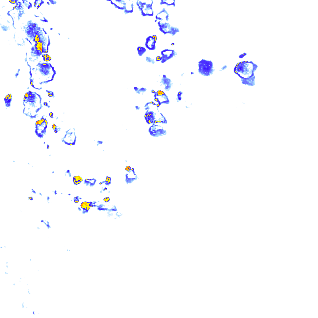 rainLayer