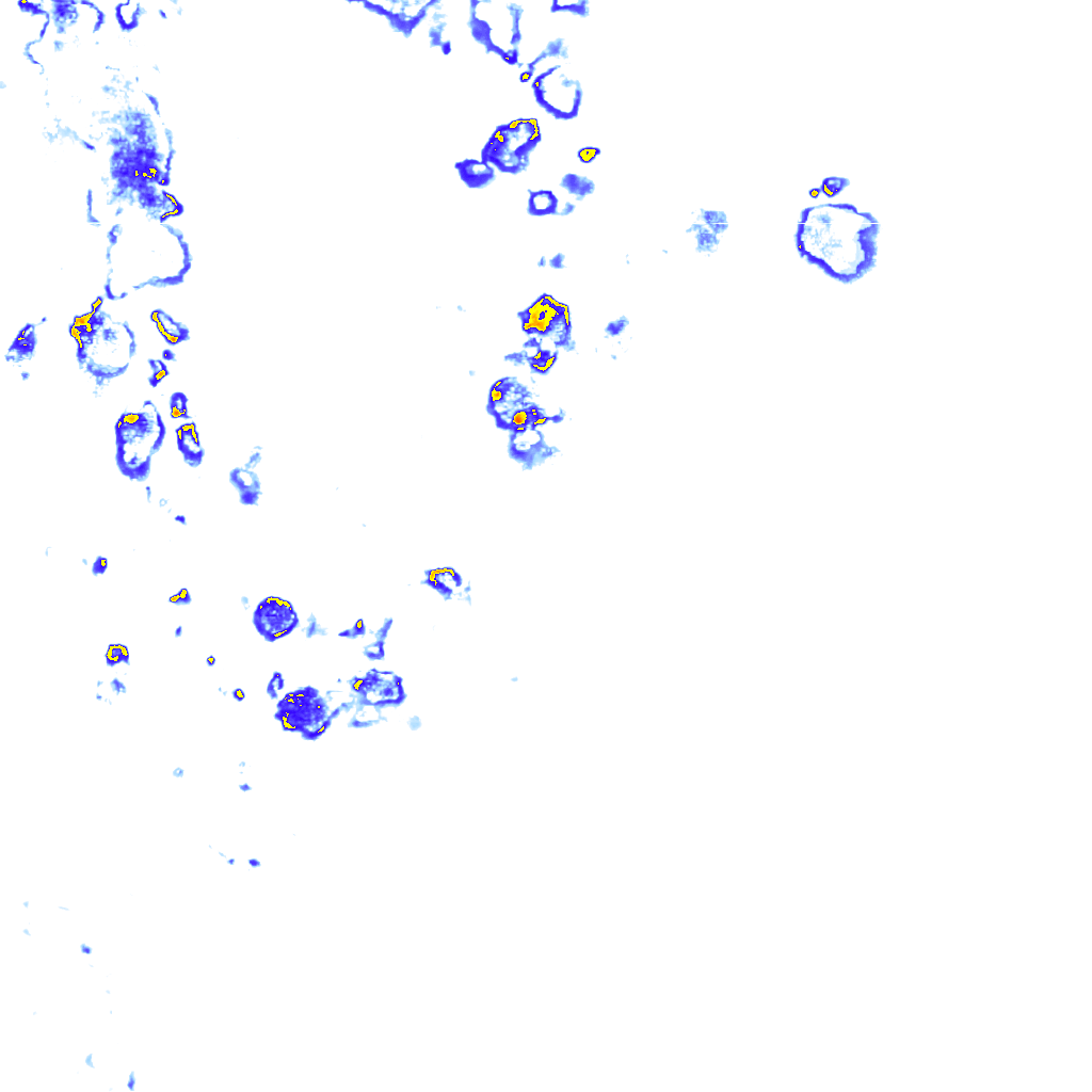 rainLayer