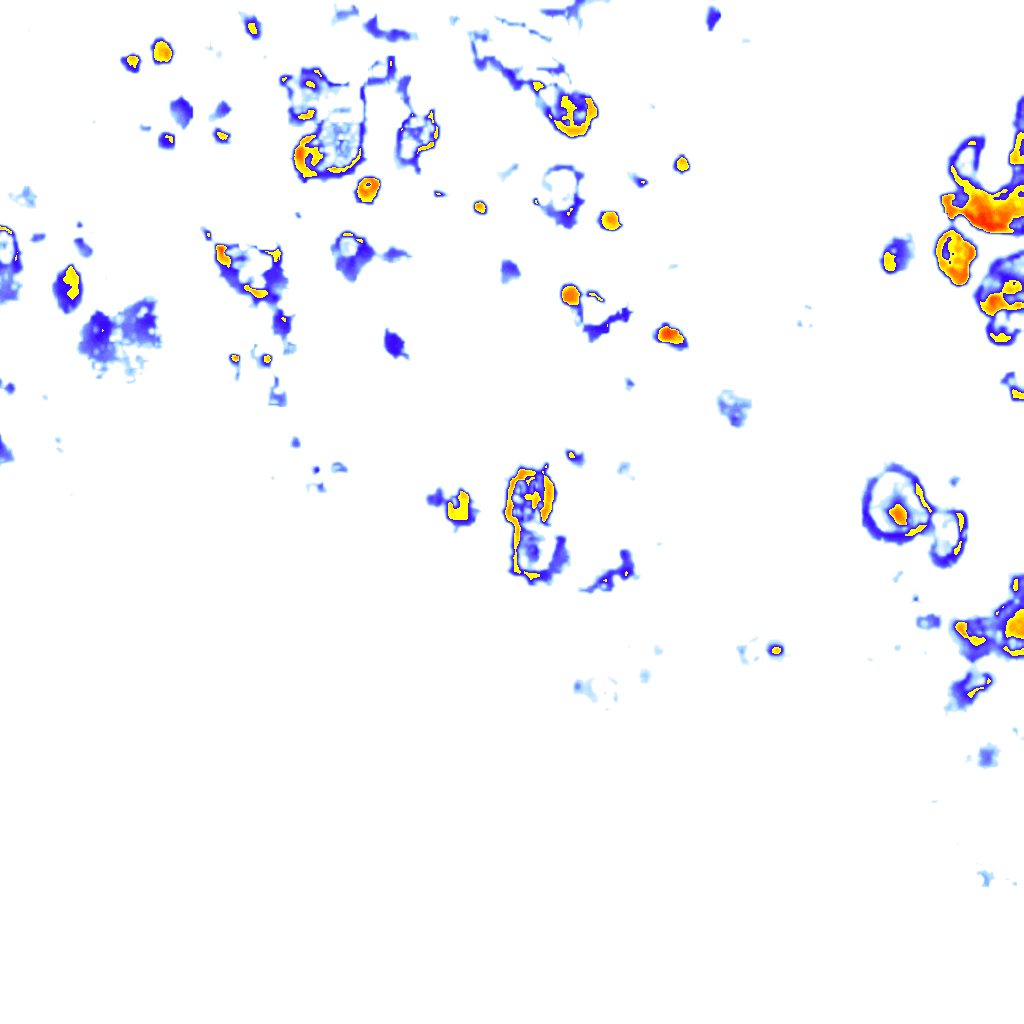 Image Layer