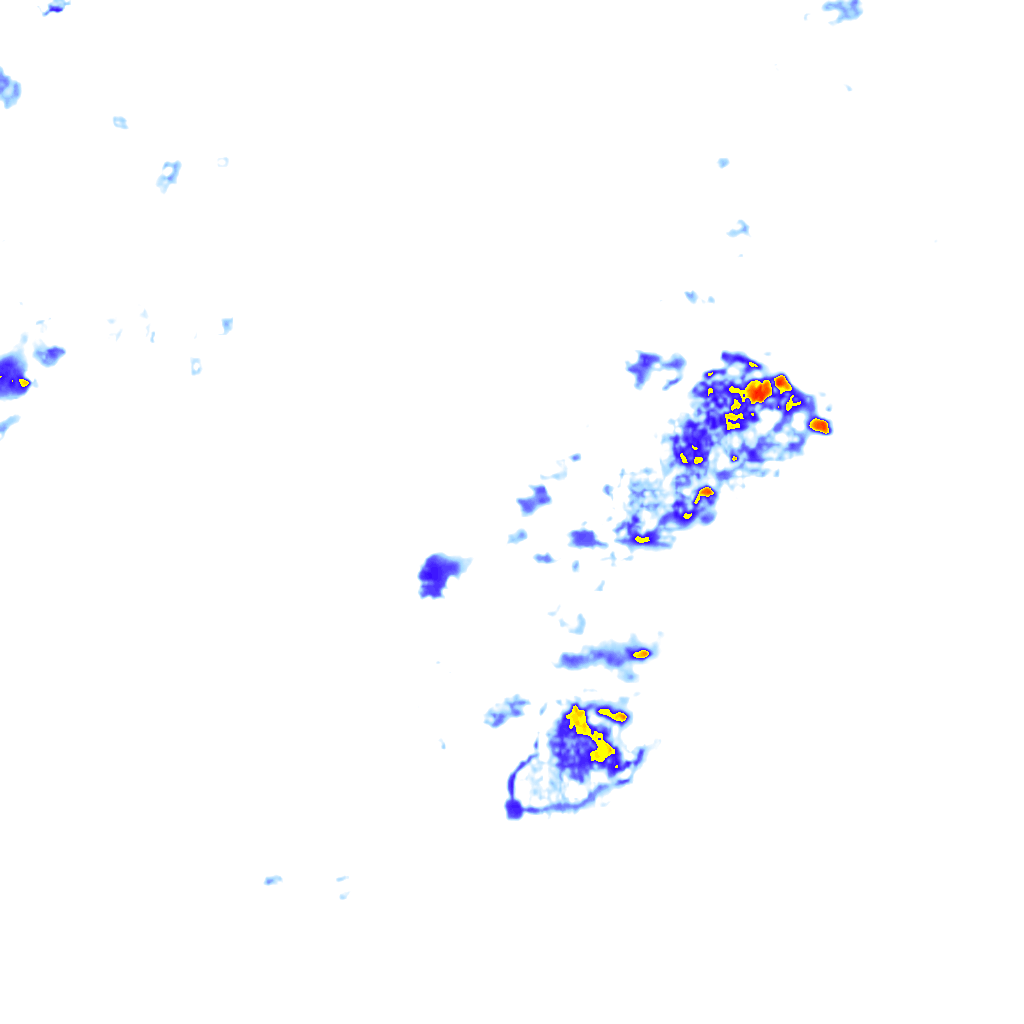 rainLayer