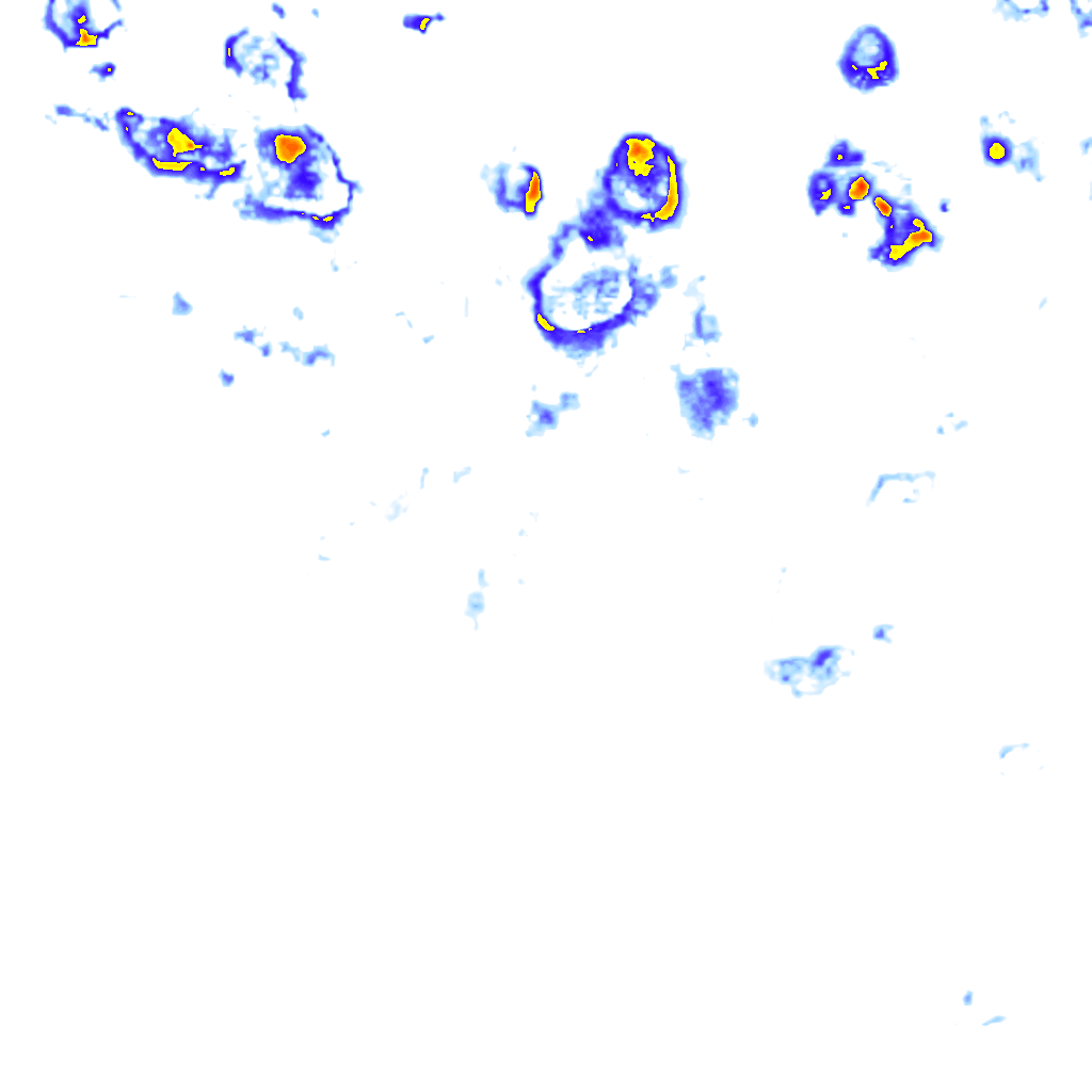 rainLayer
